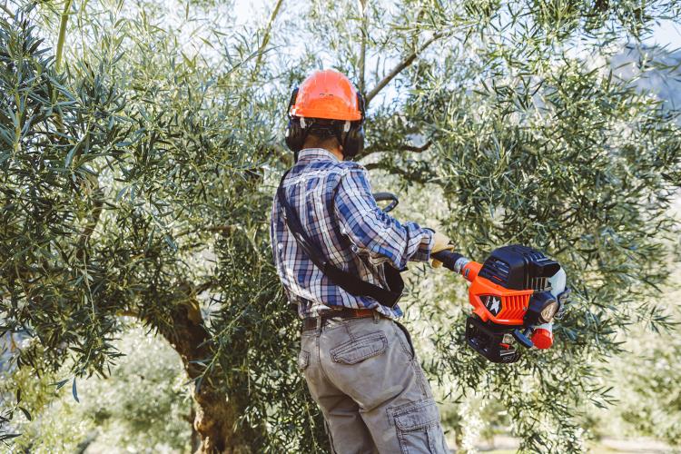 Echo X-Series Power Pruner with telescopic shaft PPT-2620HES - PAS-2620ES-MTA-PP-2019 (1).jpg
